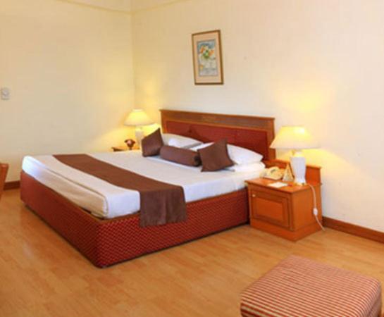 Hotel Hridey Inn New Delhi Ruang foto